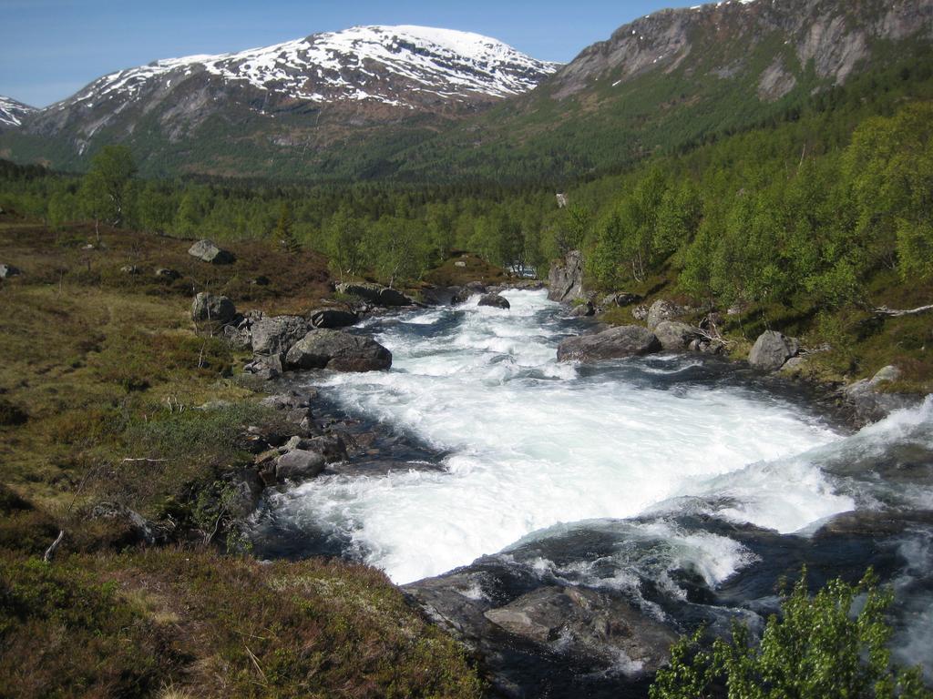 Hov Hyttegrend Viksdalen