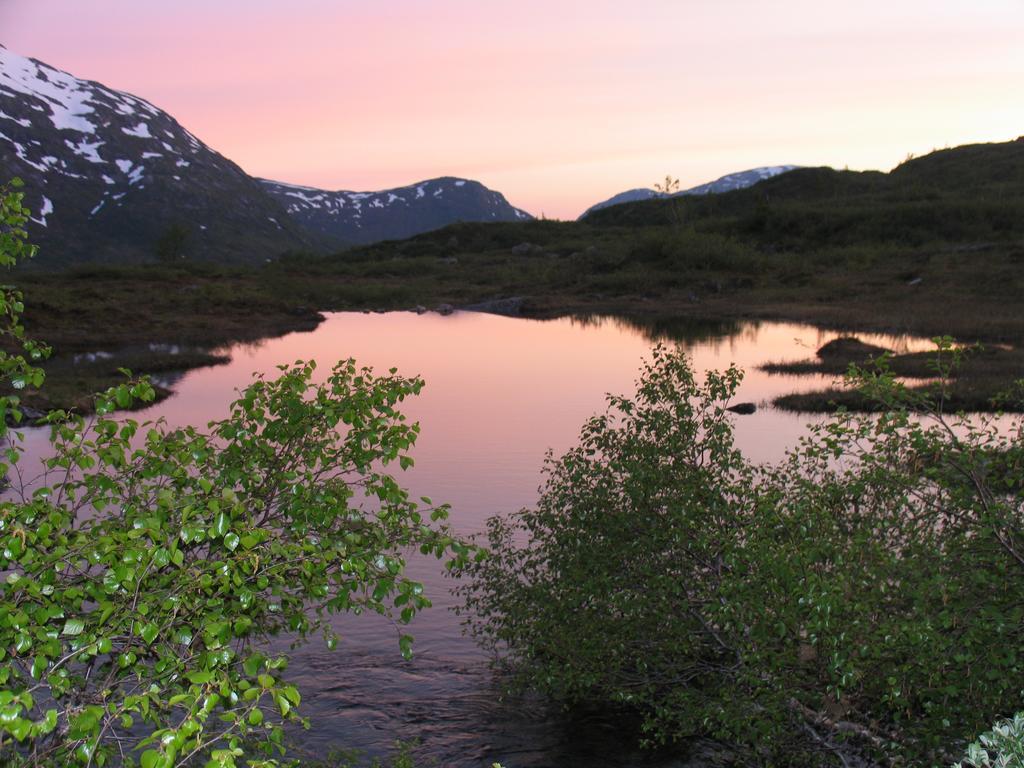 Hov Hyttegrend *