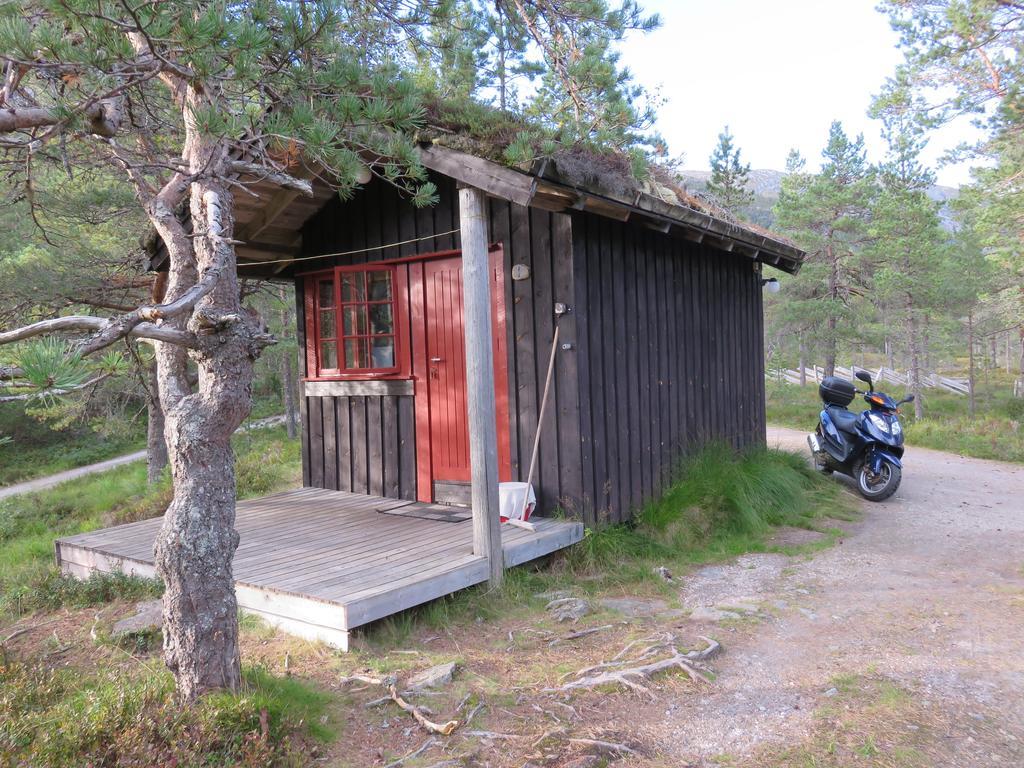 Lodge Hov Hyttegrend